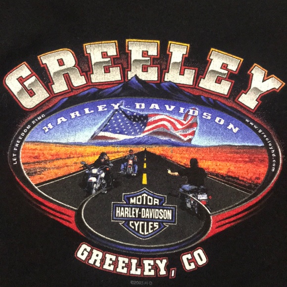 Harley-Davidson - Picture 4 of 5